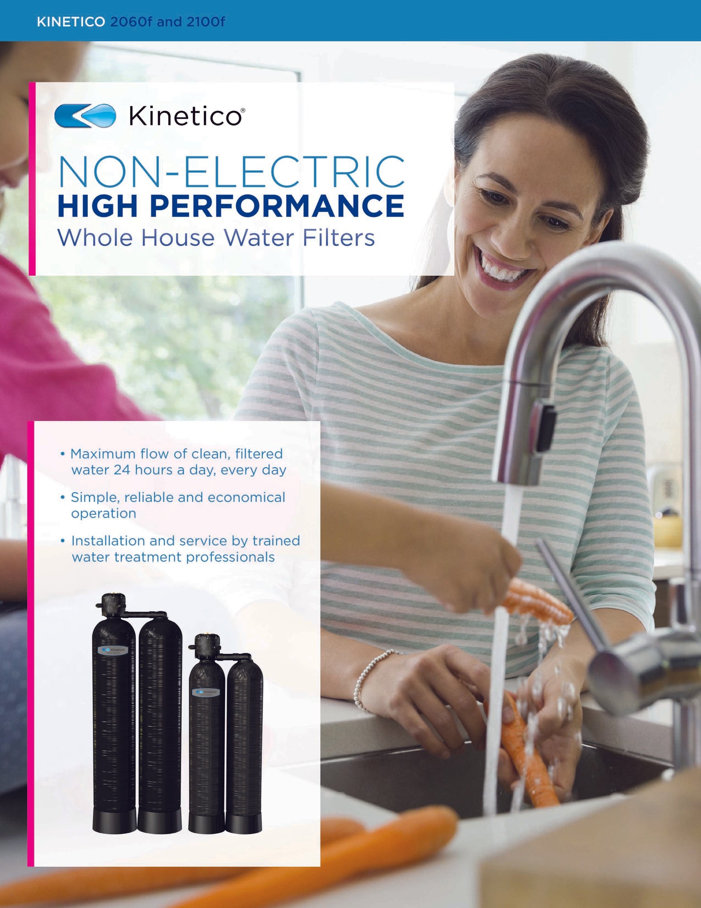 Kinetico Water Filters, the 2060 Series - ZYV WATER