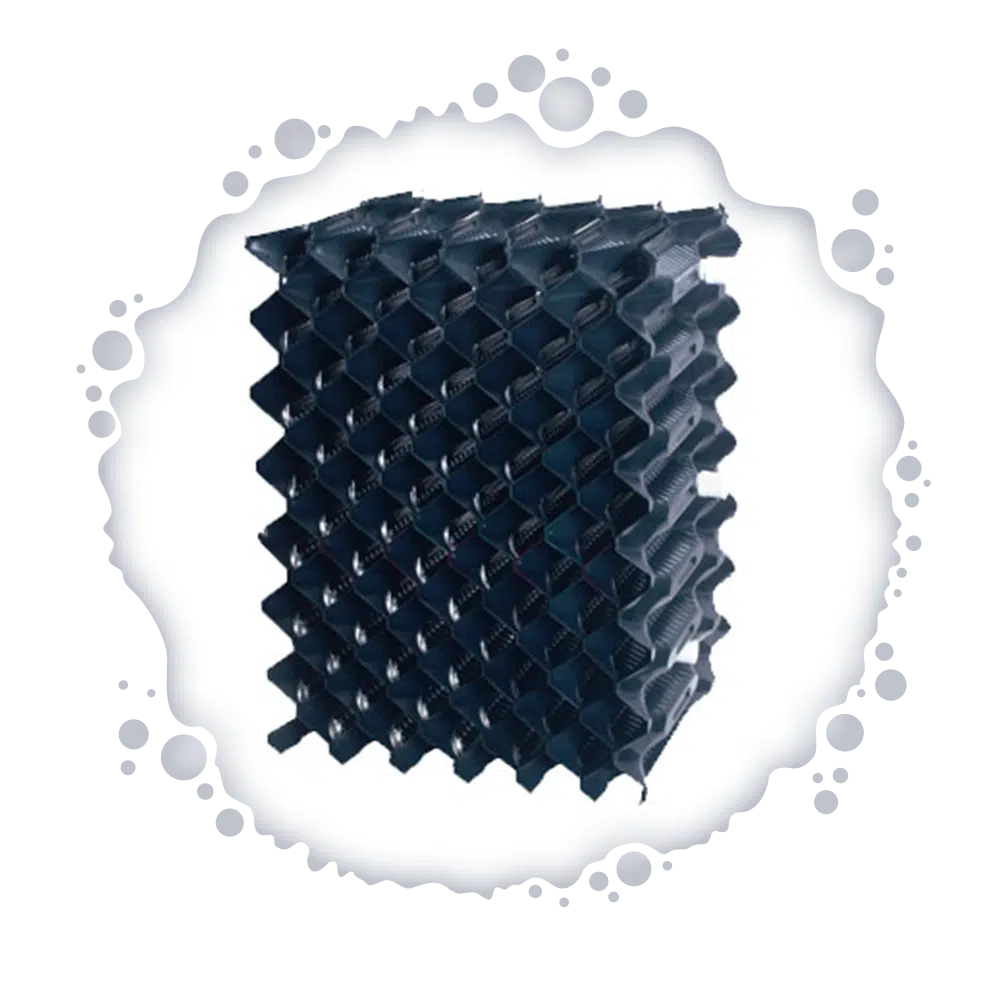 Media Set D - ZYV WATER