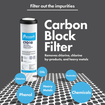 Carbon Block Replacement Filter 4.5” x 20” - ZYV WATER