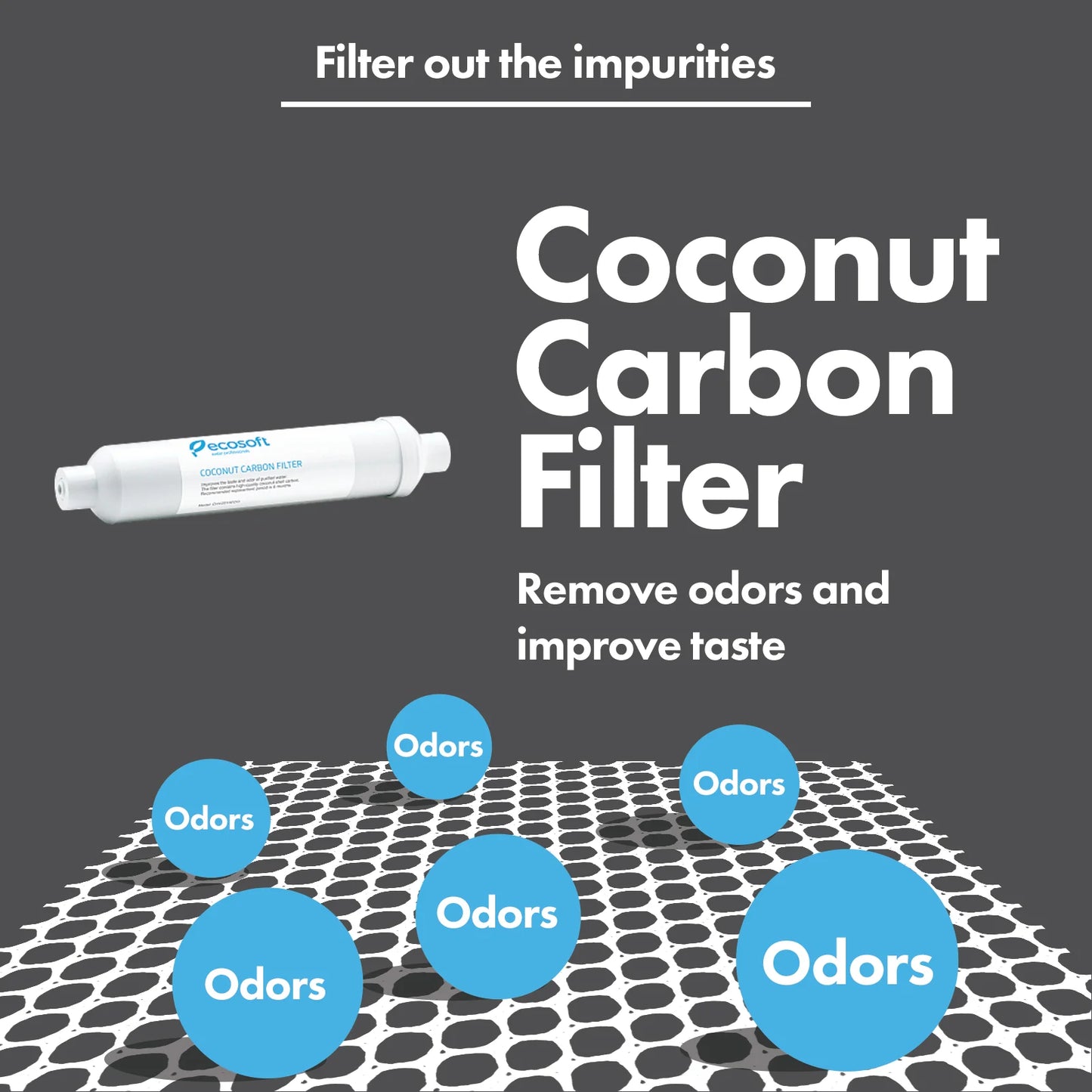In-Line Post-Carbon Replacement for RO Systems - ZYV WATER
