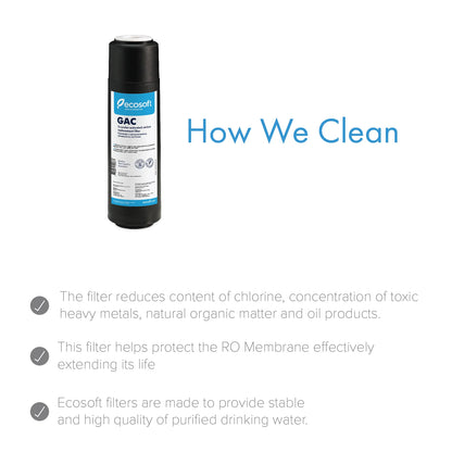 GAC Replacement Filter 2.5” x 10” - ZYV WATER