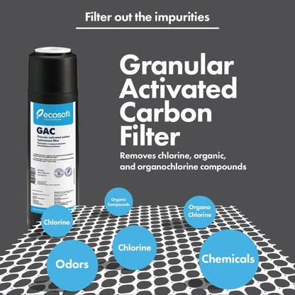 GAC Replacement Filter 2.5” x 10” - ZYV WATER