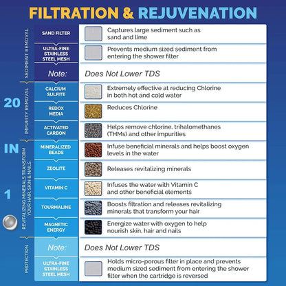 Vitamin C Revitalizing Shower Water Filter - ZYV WATER