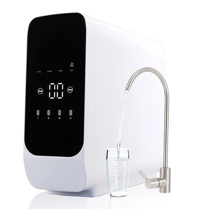 Reverse Osmosis Water Filtration System - ZYV WATER