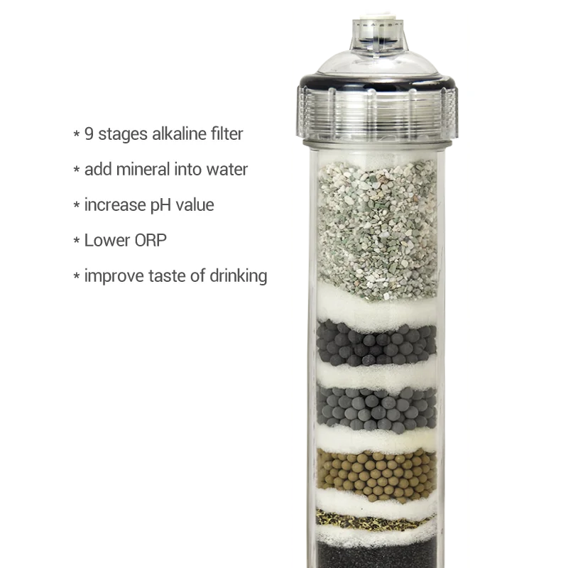 2Pack Alkaline Water Filter - ZYV WATER